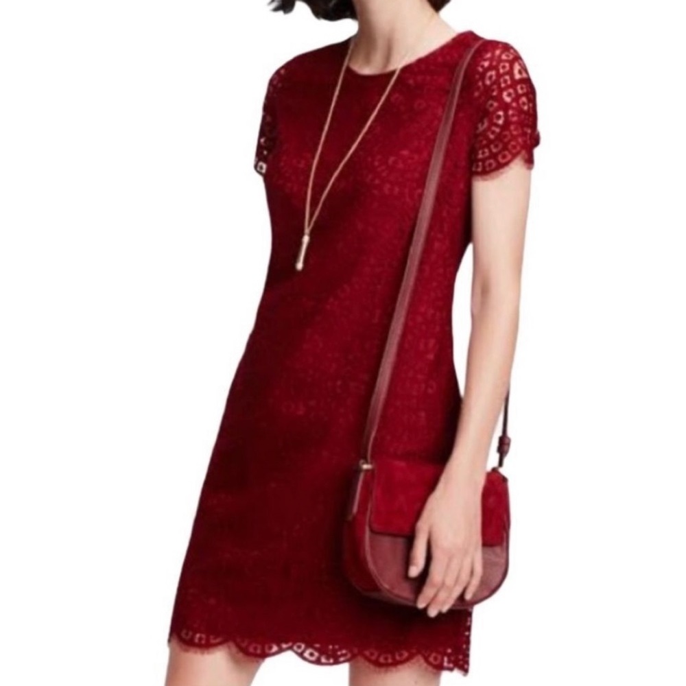 Ann Taylor Burgundy Lace Shift Dress
